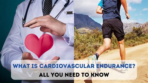 ano ang cardiovascular endurance|Cardiovascular Endurance: What It Is, How To .